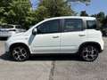Fiat Panda 1.0 firefly hybrid Sport s&s 70cv - thumbnail 3