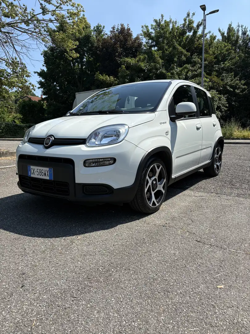 Fiat Panda 1.0 firefly hybrid Sport s&s 70cv - 1