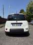 Fiat Panda 1.0 firefly hybrid Sport s&s 70cv - thumbnail 6