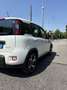 Fiat Panda 1.0 firefly hybrid Sport s&s 70cv - thumbnail 5