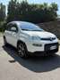 Fiat Panda 1.0 firefly hybrid Sport s&s 70cv - thumbnail 2