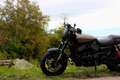 Harley-Davidson Street Rod - thumbnail 6