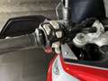 Triumph Tiger 900 GT Rood - thumbnail 13