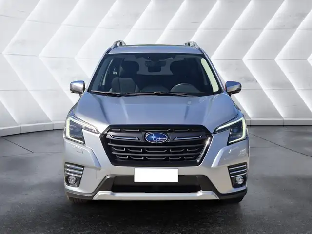 Subaru Forester view 2