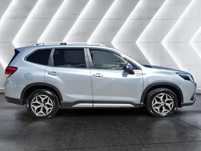 Subaru Forester view 5