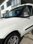 Fiat Doblo Doblò 1.3 MJT S&S PC Combi N1 Easy Bianco - thumbnail 13