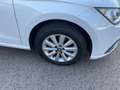 SEAT Ibiza 1.6 TDI 95 CV DSG 5p. Business Weiß - thumbnail 8