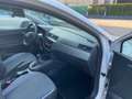 SEAT Ibiza 1.6 TDI 95 CV DSG 5p. Business Weiß - thumbnail 10