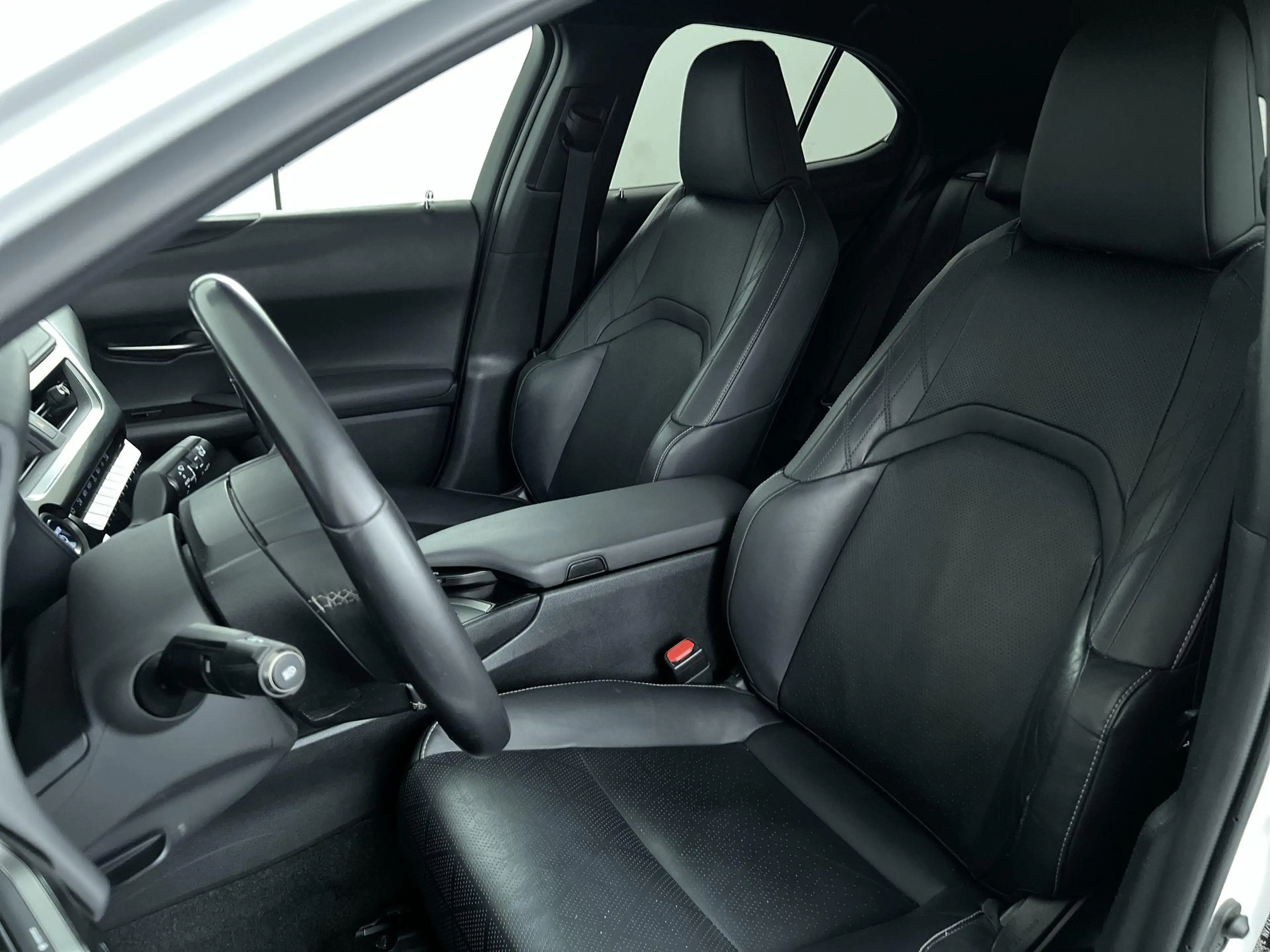 Lexus UX 250h AWD (All Wheel Drive) Luxury Line — photo 11