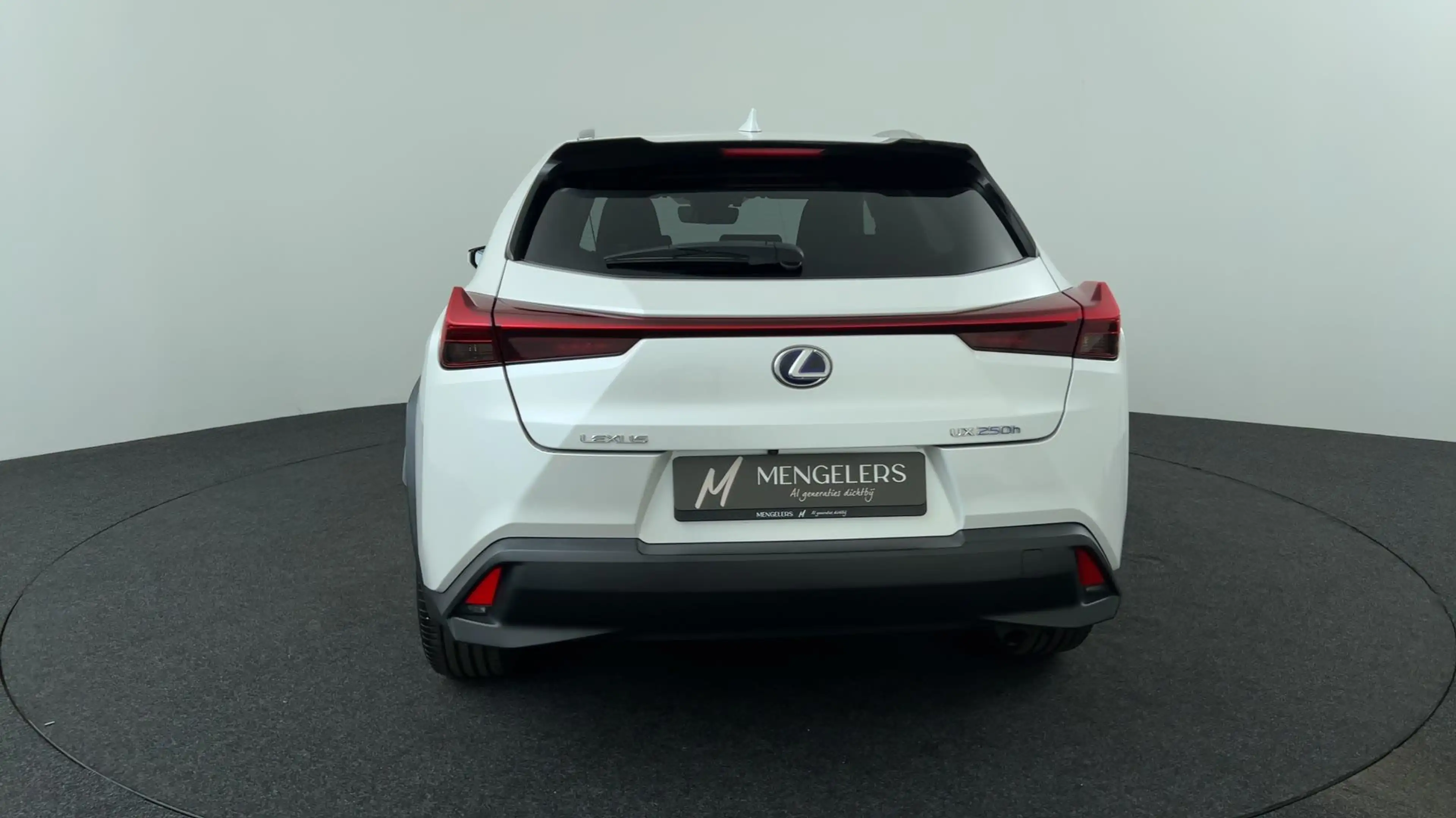 Lexus UX 250h AWD (All Wheel Drive) Luxury Line — photo 4