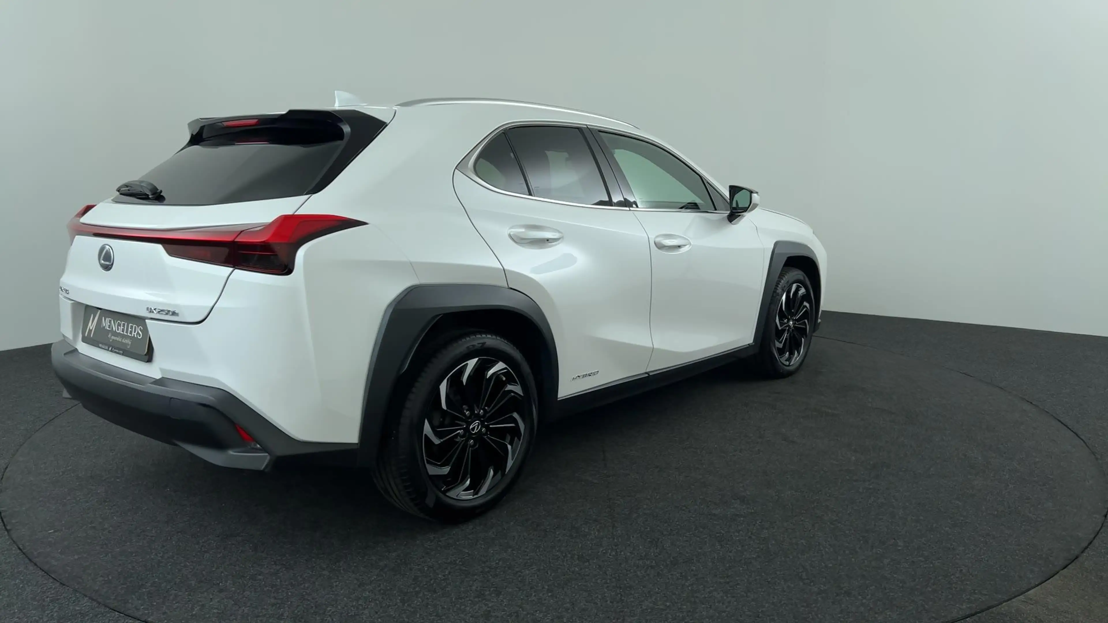 Lexus UX 250h AWD (All Wheel Drive) Luxury Line — photo 5