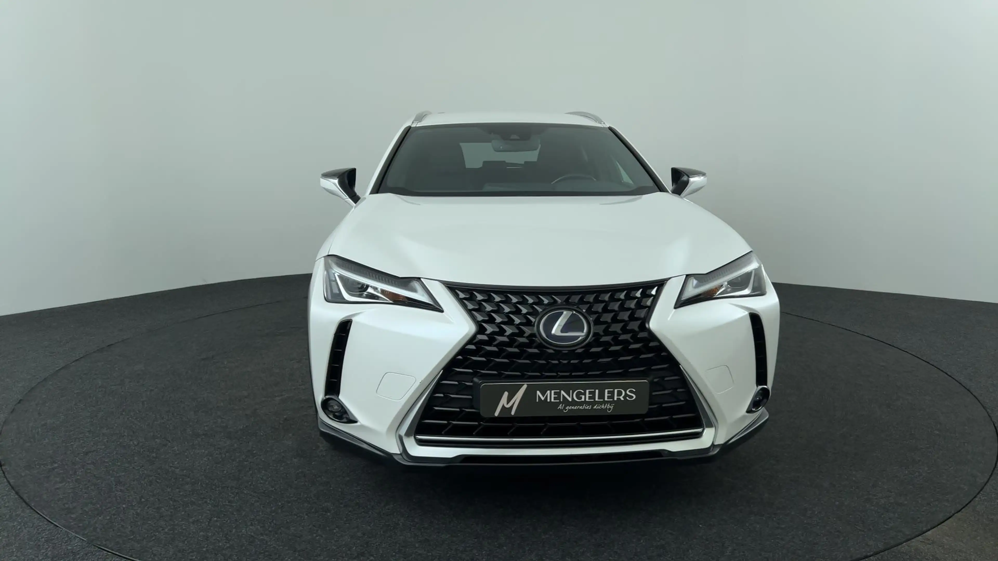 Lexus UX 250h AWD (All Wheel Drive) Luxury Line — photo 8