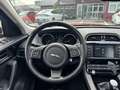 Jaguar F-Pace 2.0d i4 Pure 163cv my18 Tetto Pano - FP333BW Rot - thumbnail 9