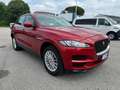 Jaguar F-Pace 2.0d i4 Pure 163cv my18 Tetto Pano - FP333BW Rot - thumbnail 3