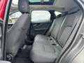Jaguar F-Pace 2.0d i4 Pure 163cv my18 Tetto Pano - FP333BW Rot - thumbnail 14