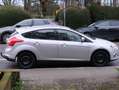 Ford Focus 1.6i Ti-VCT Trend Grijs - thumbnail 1