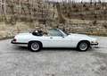 Jaguar XJS 5.3 V12 Cabrio, TÜV, H-Kennzeichen neu! Blanco - thumbnail 8