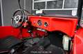 Volkswagen Buggy Meyers Manx Pickerl NEU Rot - thumbnail 8