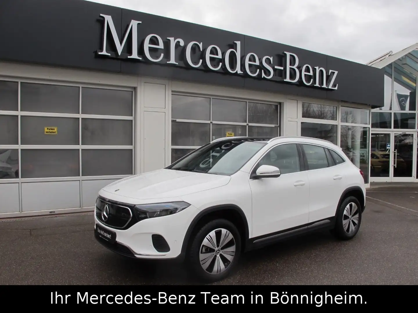 Mercedes-Benz EQA 250 / AHV / Panorama/ Lenkradhzg. Weiß - 1