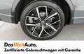 Volkswagen Tiguan R-Line TDI DSG Grau - thumbnail 14