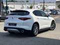 Alfa Romeo Stelvio 2.2 Business rwd 190cv auto my19 Bianco - thumbnail 3