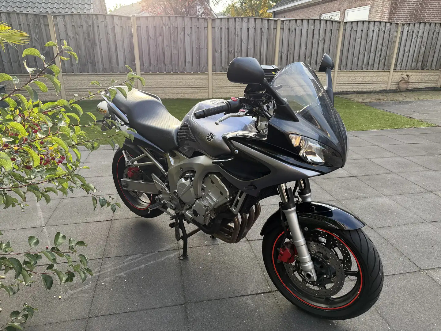 Yamaha FZS 600 MIVV - LED - CARPLAY - Onderhouden Zilver - 2