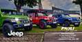 Jeep Wrangler Unlimited 2.0 PHEV Rubicon | PAULI Weiß - thumbnail 16