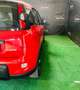 Fiat Panda 1.0 FireFly S&S Hybrid Sport Rouge - thumbnail 6