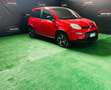 Fiat Panda 1.0 FireFly S&S Hybrid Sport Rosso - thumbnail 4