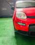 Fiat Panda 1.0 FireFly S&S Hybrid Sport Rojo - thumbnail 3
