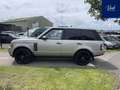 Land Rover Range Rover 4.4 TDV8 Autobiography Brun - thumbnail 4