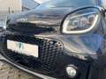 smart forTwo EQ 60KW Cabrio Excl./Navi/LED/Temp*Kamera Schwarz - thumbnail 8
