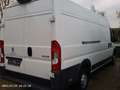 Peugeot Boxer L4H2 Komfort Plus*Klima*Tüv neu*Garantie* Weiß - thumbnail 2