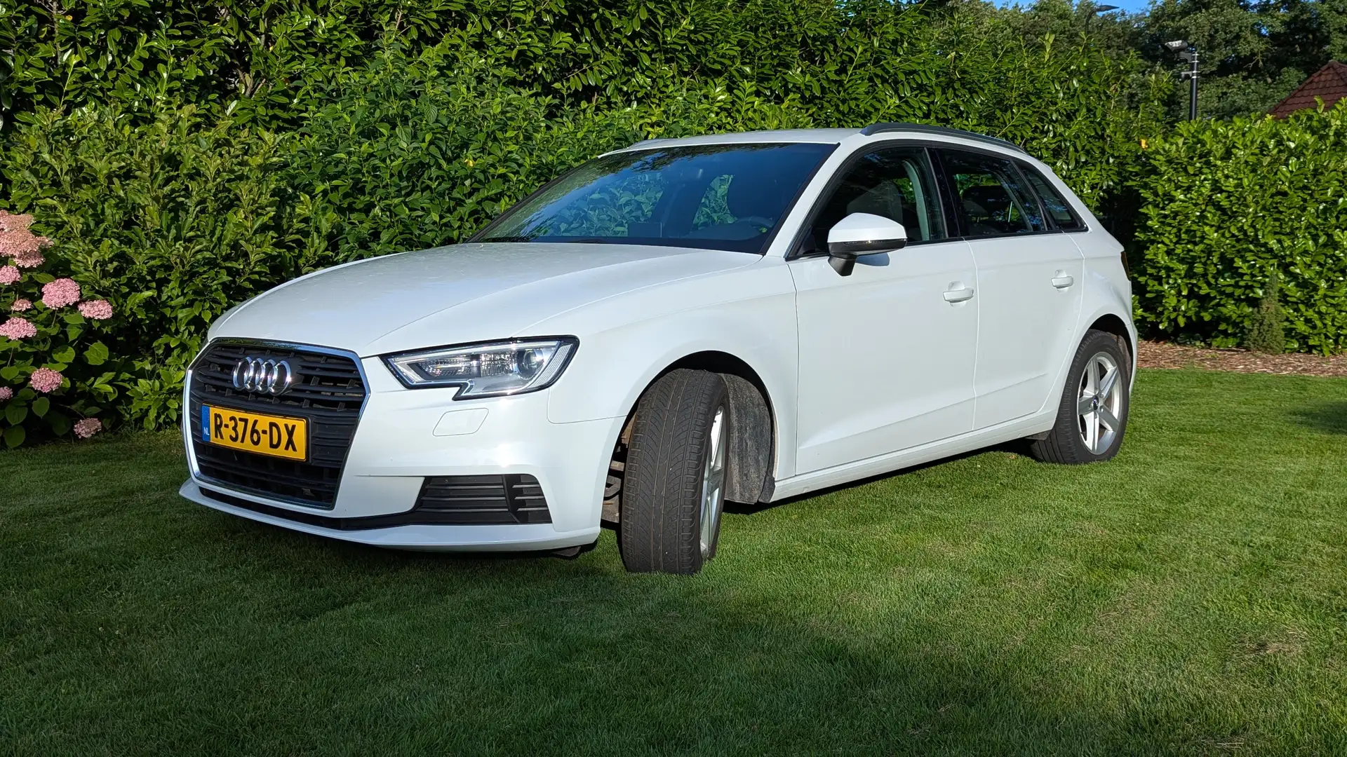 Audi A3 A3 30 TFSI Pro Line/MMI-Radio Plus/Xenon/Navi Wit - 1