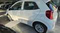 Kia Picanto Picanto III 2021 1.0 dpi Style Comfort Pack Weiß - thumbnail 5