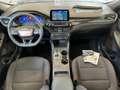 Ford Kuga 1.5 ECOBLUE 120 CV AUT. 2WD ST-LINE Grigio - thumbnail 13