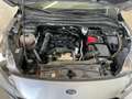 Ford Kuga 1.5 ECOBLUE 120 CV AUT. 2WD ST-LINE Grigio - thumbnail 9