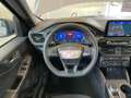 Ford Kuga 1.5 ECOBLUE 120 CV AUT. 2WD ST-LINE Grigio - thumbnail 14