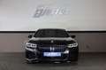 BMW 750 Li xDrive/360*/AIRMATIC/HK/4xSHZ/SBL/LHZ/R21 Gris - thumbnail 2