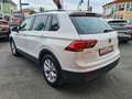 Volkswagen Tiguan 1.4 TSI 150PS Comfortl./wenig KM/1.HD! Blanc - thumbnail 8