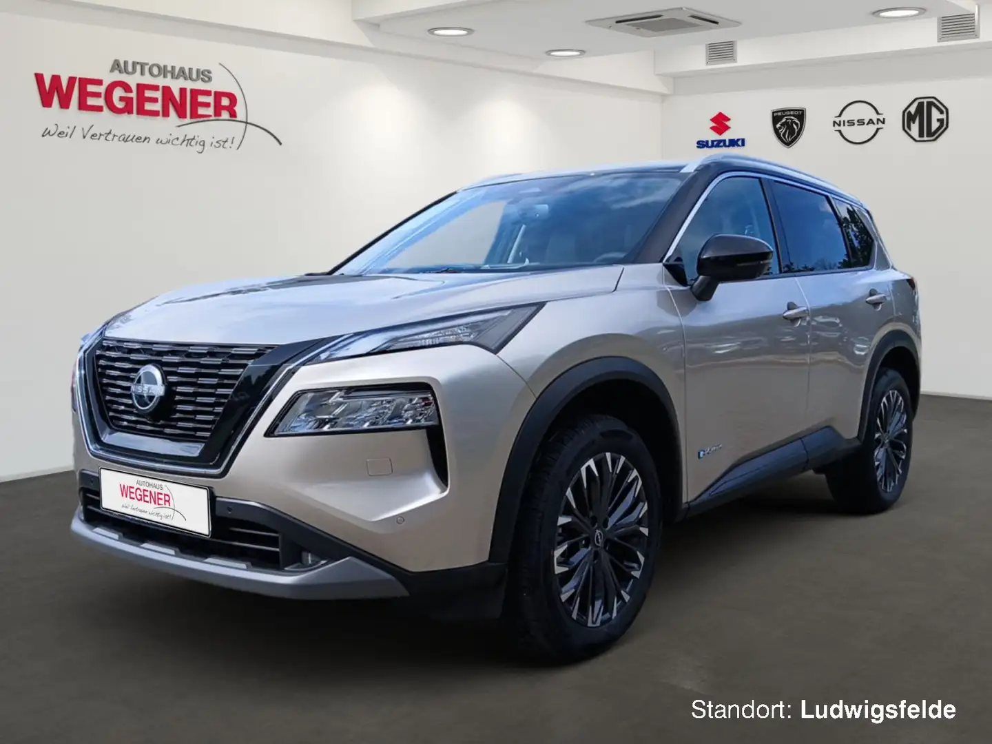Nissan X-Trail X-TRAIL 1.5 VC-T e-4ORCE 213 PS Plateado - 1