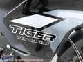 Triumph Tiger 900 GT - incl. Koffer Schwarz - thumbnail 4