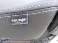 Triumph Tiger 900 GT - incl. Koffer Schwarz - thumbnail 22