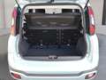 Fiat Panda City Cross 1.0 MHEV Launch Edition Grün - thumbnail 11
