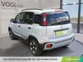 Fiat Panda City Cross 1.0 MHEV Launch Edition Grün - thumbnail 3