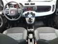 Fiat Panda City Cross 1.0 MHEV Launch Edition Grün - thumbnail 4