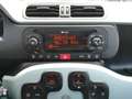 Fiat Panda City Cross 1.0 MHEV Launch Edition Grün - thumbnail 9