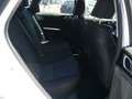 Kia Ceed SW / cee'd SW Cee'd Sportswagon/Automatik/Kamera/Spirit Weiß - thumbnail 18