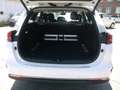 Kia Ceed SW / cee'd SW Cee'd Sportswagon/Automatik/Kamera/Spirit Weiß - thumbnail 17