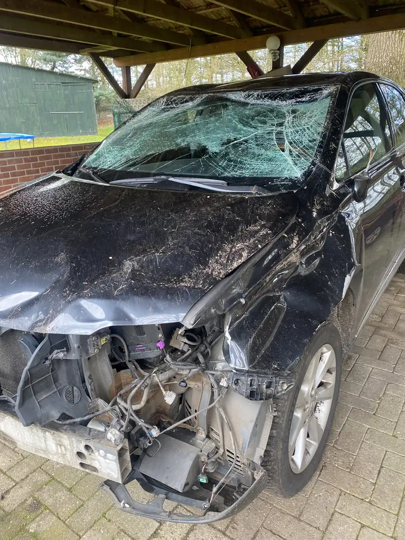 Lexus RX 350 Ambience Line - 2